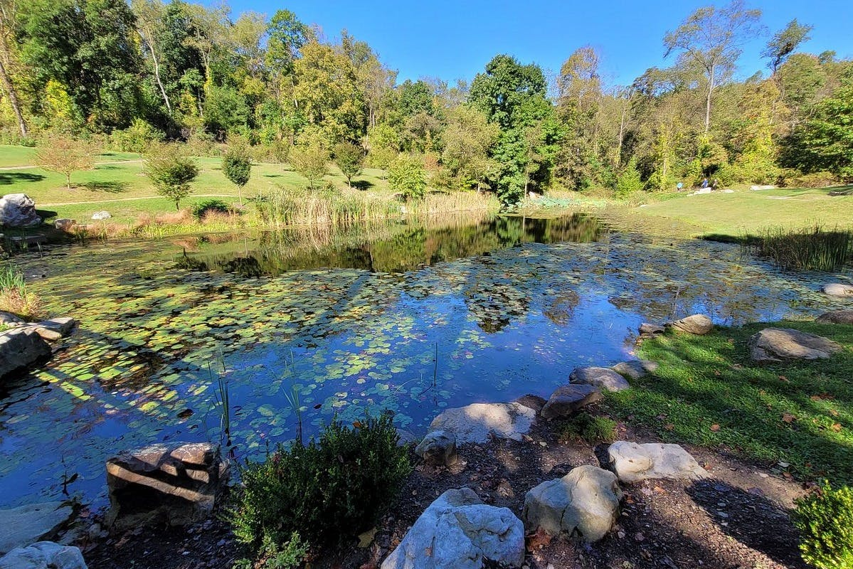 Pittsburgh Botanic Garden: Entry Ticket - Photo 1 of 3